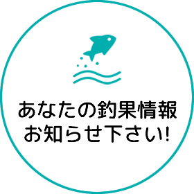 あなたの釣果情報お知らせください！