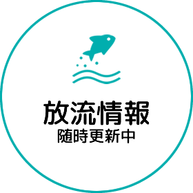 放流情報